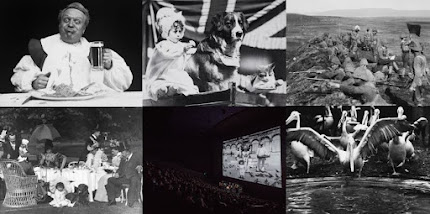 BFI-FILMS